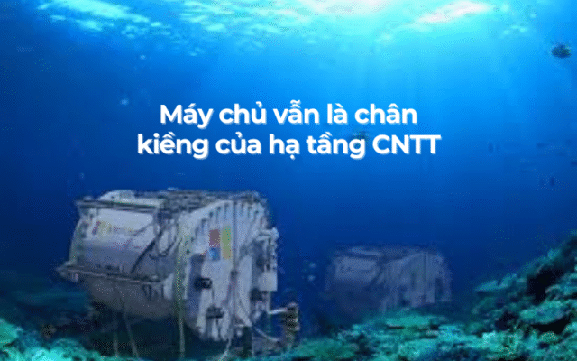 máy chủ